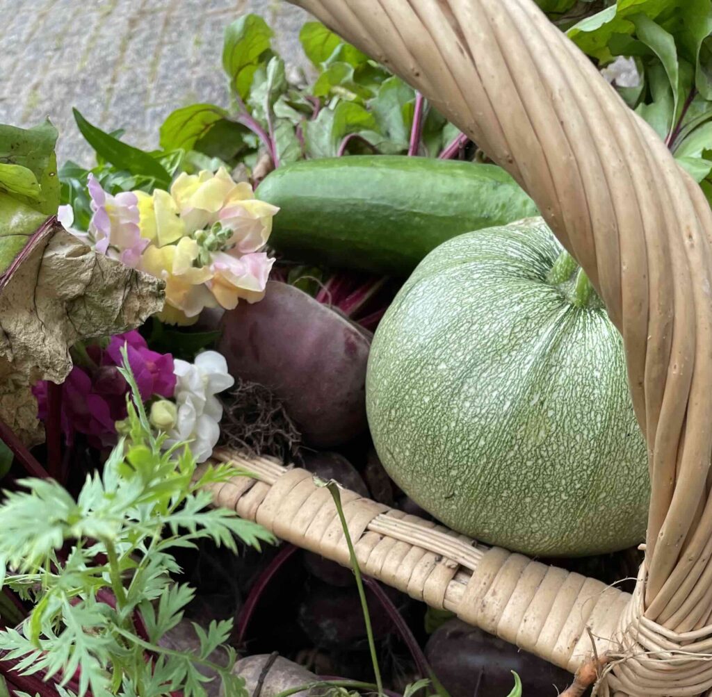 Rieten mand met groente en bloemen uit tuin